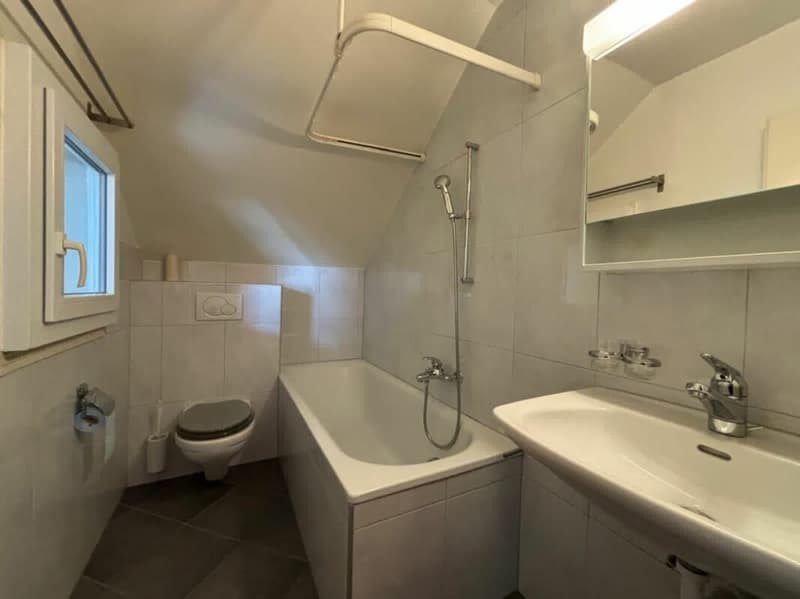 Beautiful attic apartment in the village center (7)