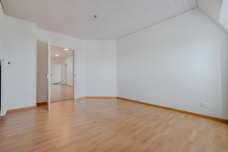 Unique attic apartment near the lake (13)