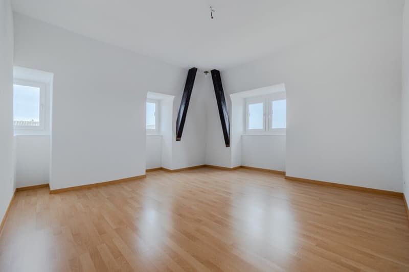 Unique attic apartment near the lake (5)