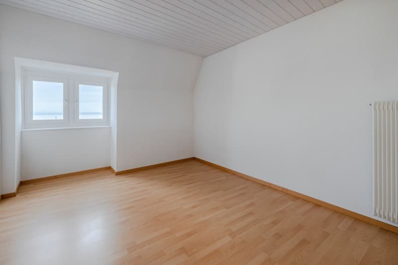 Unique attic apartment near the lake (12)