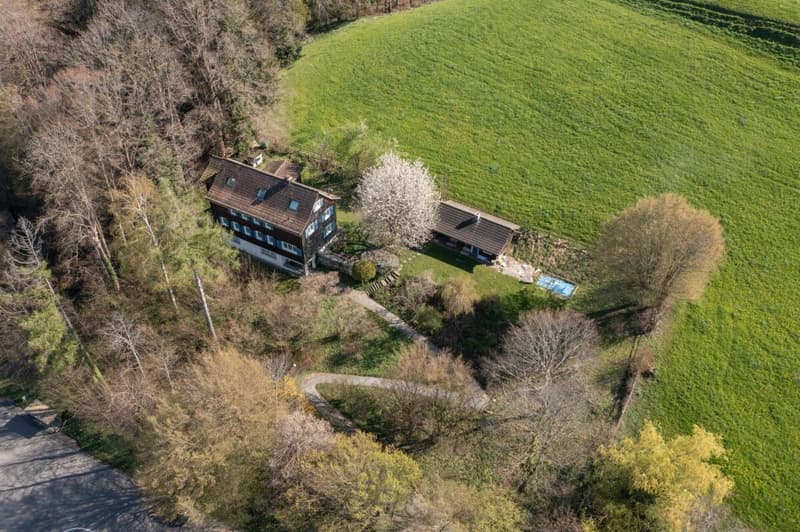 Wunderschönes, modern ausgebautes Einfamilienhaus mit absoluter Privatsphäre und Seesicht (4)