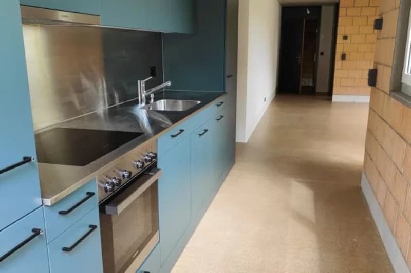 Superbe appartement 2.5 pièces de 56 m² (3)