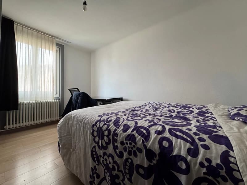 Incantevole appartamento di 4 locali con balcone (7)