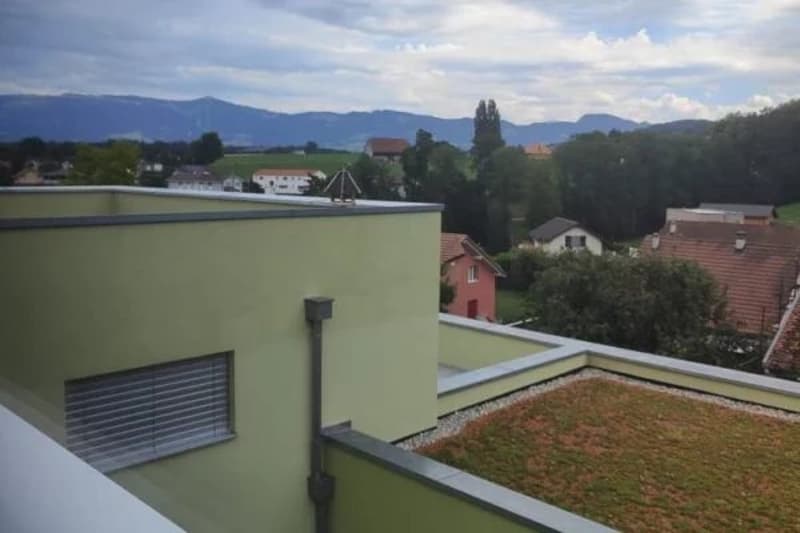 Bel appartamento con cornice, 3,5 locali (9)