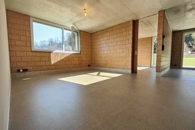 Bel appartamento con cornice, 3,5 locali (3)