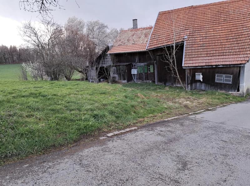 In Vendita: Progetto di vita verde, casa di 4.5 locali + 2 box per cavalli (9)