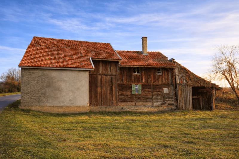 In Vendita: Progetto di vita verde, casa di 4.5 locali + 2 box per cavalli (7)