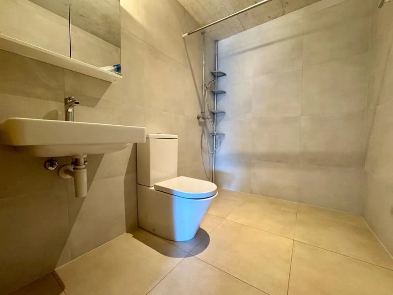 Zu vermieten: Superbe Apartment mit 2.5 Zimmern von 63 m², hell, mit Aufzug und ohne Schwellen (11)