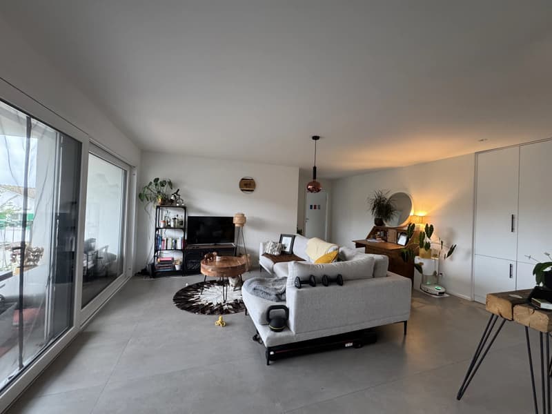 Appartement à deux pas du lac (7)