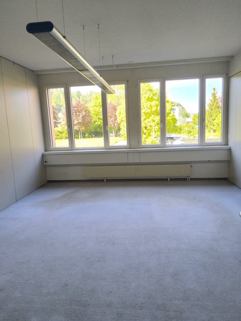 Espace commercial avec rampe dans un emplacement idéal à Bösingen à louer (4)