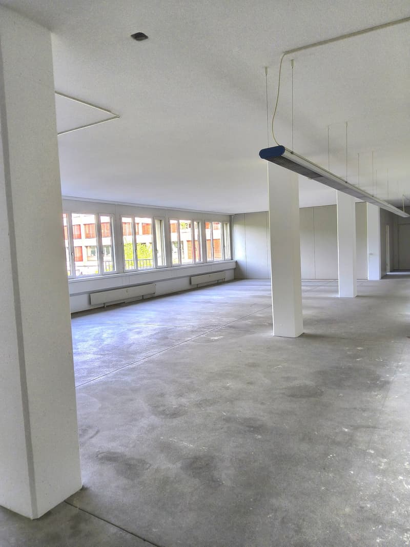 Espace commercial avec rampe dans un emplacement idéal à Bösingen à louer (2)