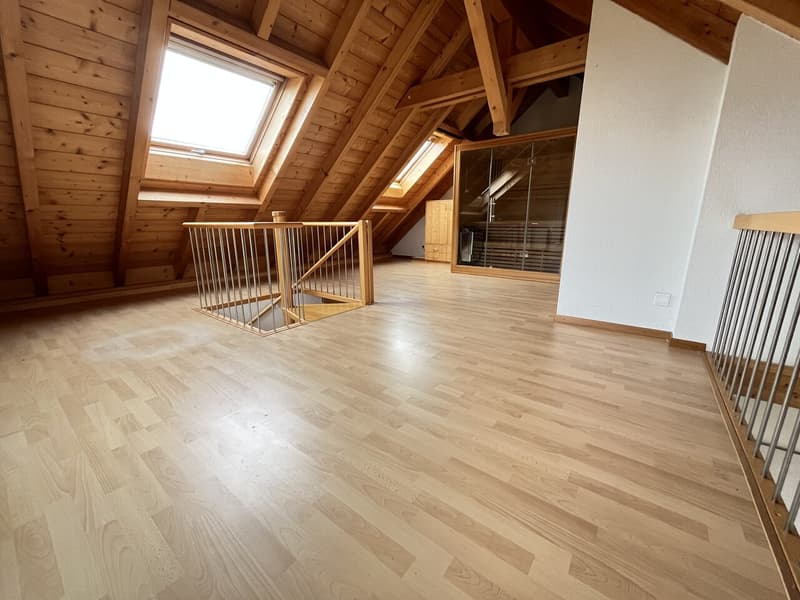 Hell 3-Zimmer Duplex-Dachwohnung mit neuer Küche und Sauna zu vermieten (13)