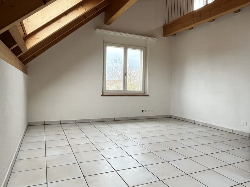 Hell 3-Zimmer Duplex-Dachwohnung mit neuer Küche und Sauna zu vermieten (4)