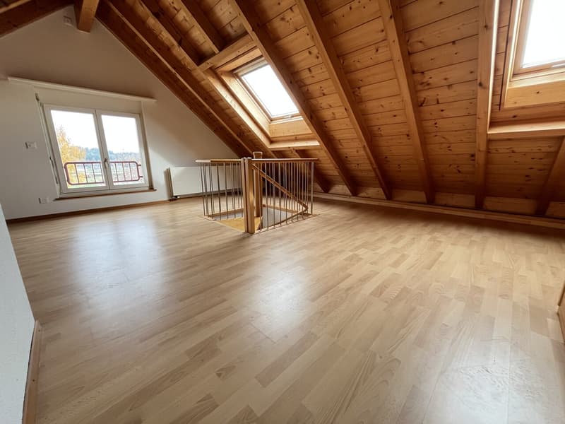 Hell 3-Zimmer Duplex-Dachwohnung mit neuer Küche und Sauna zu vermieten (12)