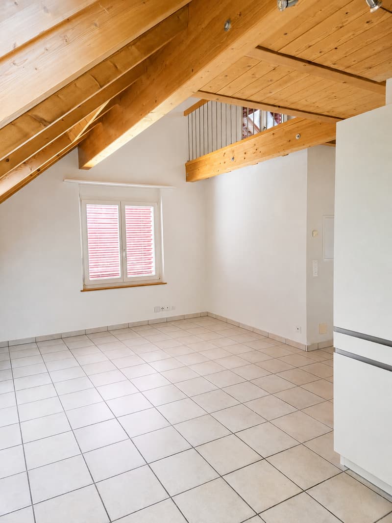 Hell 3-room duplex attic apartment with new kitchen and sauna for rent (2)