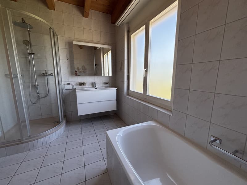 Hell 3-Zimmer Duplex-Dachwohnung mit neuer Küche und Sauna zu vermieten (8)