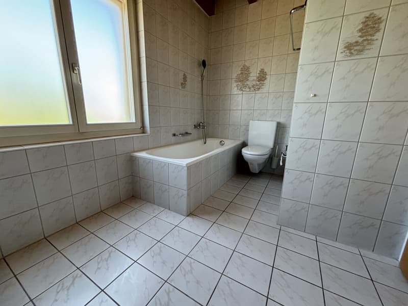 Hell 3-Zimmer Duplex-Dachwohnung mit neuer Küche und Sauna zu vermieten (9)
