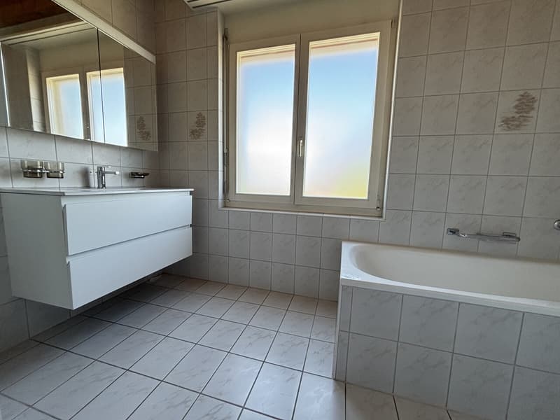 Hell 3-Zimmer Duplex-Dachwohnung mit neuer Küche und Sauna zu vermieten (7)