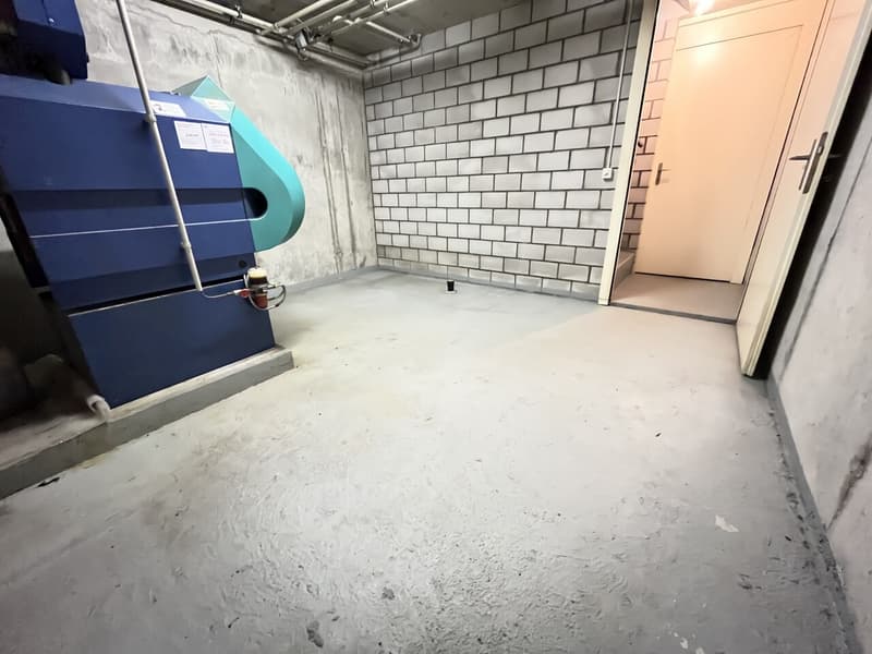 Modern 5½-room row house with garden in Büren a. Aare for rent (18)