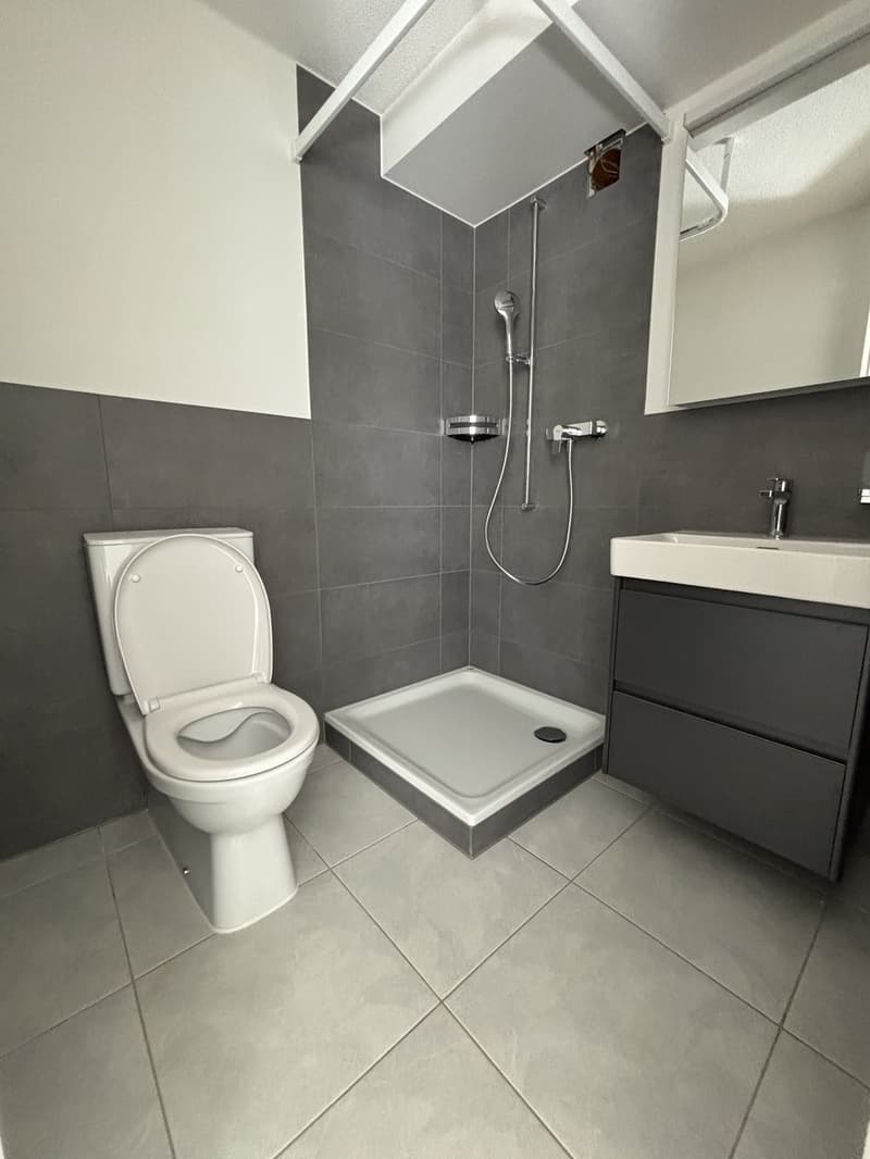 Casa a schiera moderna, fresca di ristrutturazione con 4½ locali e giardino in affitto a Pieterlen (22)