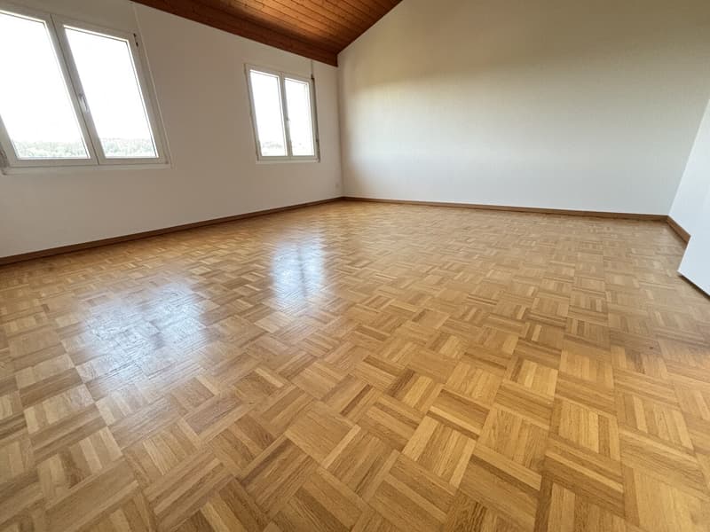 Casa a schiera moderna, fresca di ristrutturazione con 4½ locali e giardino in affitto a Pieterlen (14)