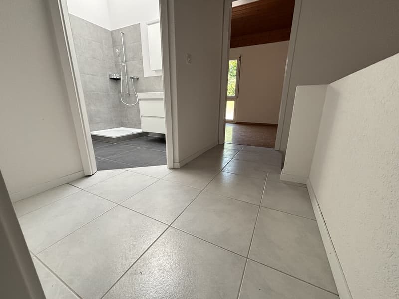 Casa a schiera moderna, fresca di ristrutturazione con 4½ locali e giardino in affitto a Pieterlen (11)