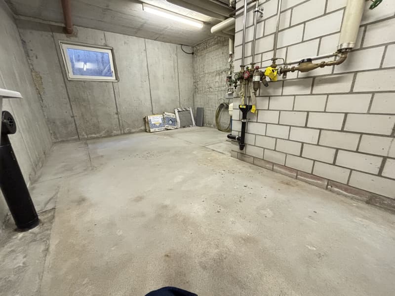 Casa a schiera moderna, fresca di ristrutturazione con 4½ locali e giardino in affitto a Pieterlen (24)