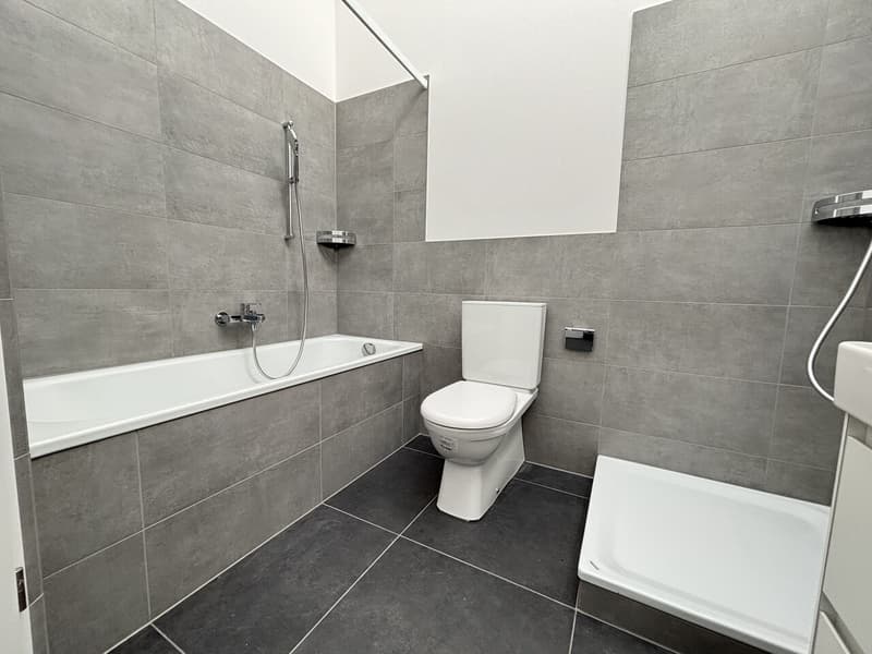 Casa a schiera moderna, fresca di ristrutturazione con 4½ locali e giardino in affitto a Pieterlen (13)