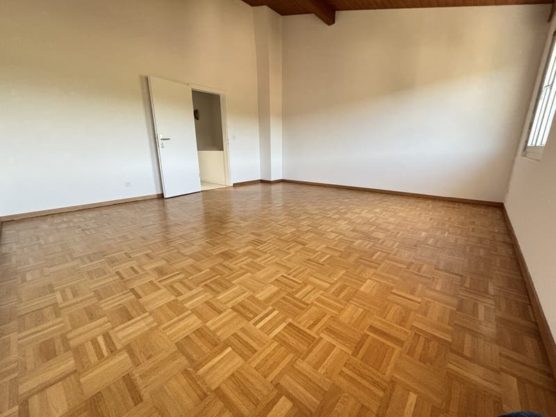 Casa a schiera moderna, fresca di ristrutturazione con 4½ locali e giardino in affitto a Pieterlen (15)