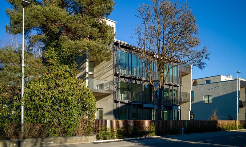 Appartamento moderno 2 locali con ampia loggia e parte di giardino in affitto a Lyss (1)