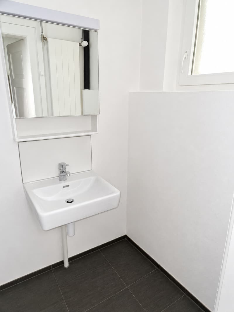 Appartement studio spacieux à Lyss dans un excellent emplacement à louer ! (7)