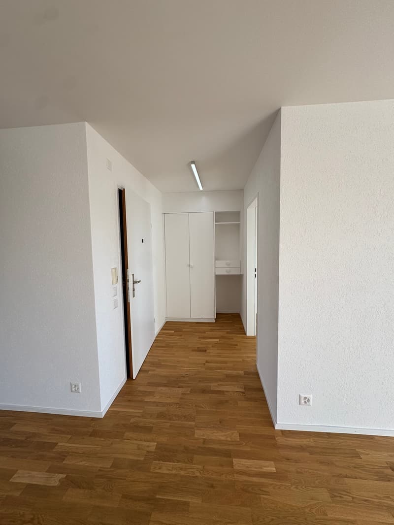 Newly renovated 4.5-room apartment in Zürich-Höngg with a far-reaching view (7)