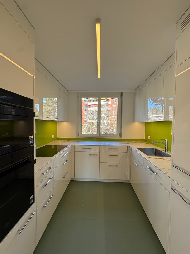 Newly renovated 4.5-room apartment in Zürich-Höngg with a far-reaching view (1)