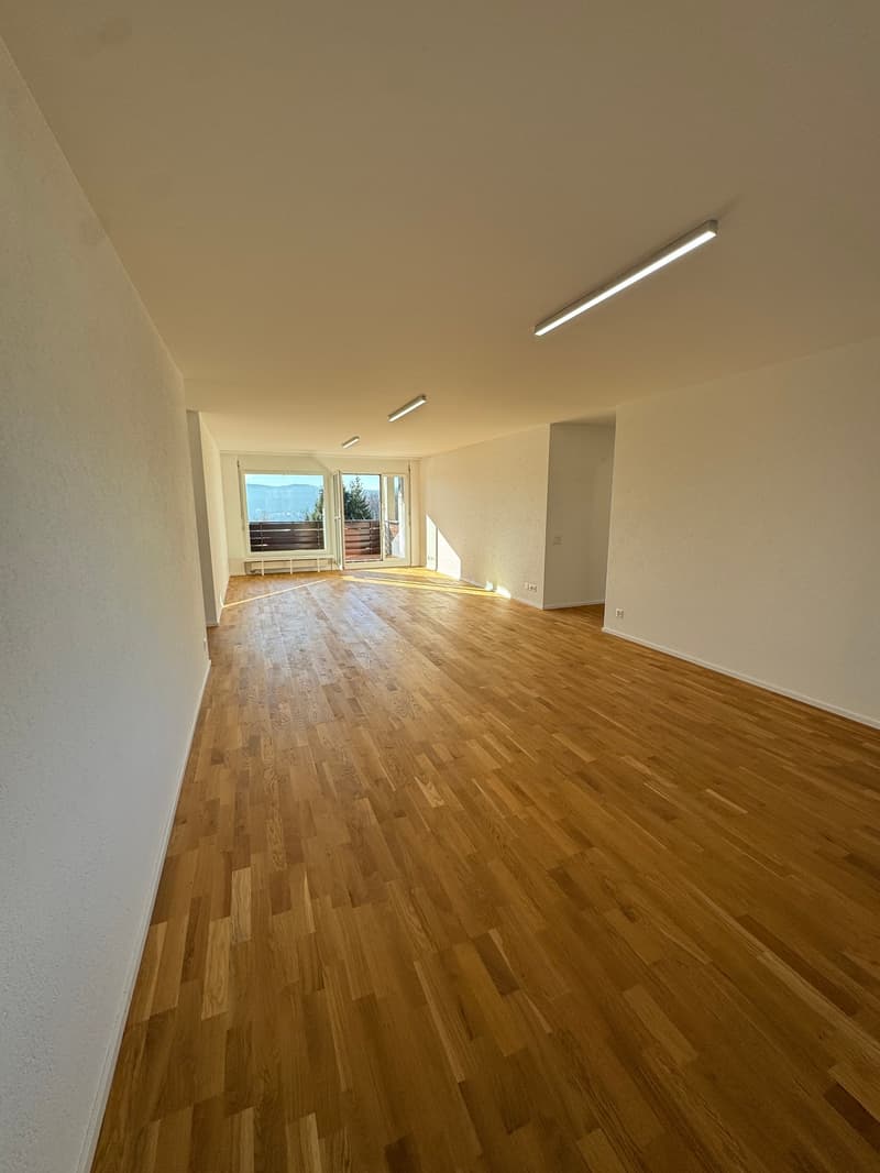 Newly renovated 4.5-room apartment in Zürich-Höngg with a far-reaching view (3)