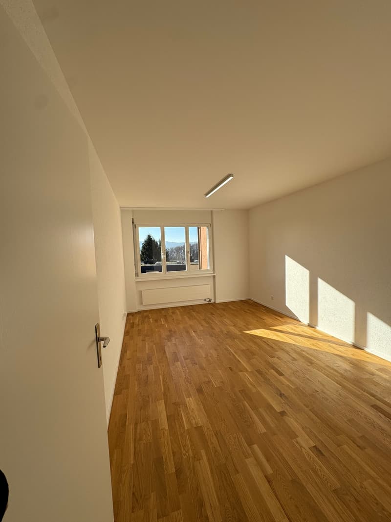 Newly renovated 4.5-room apartment in Zürich-Höngg with a far-reaching view (5)