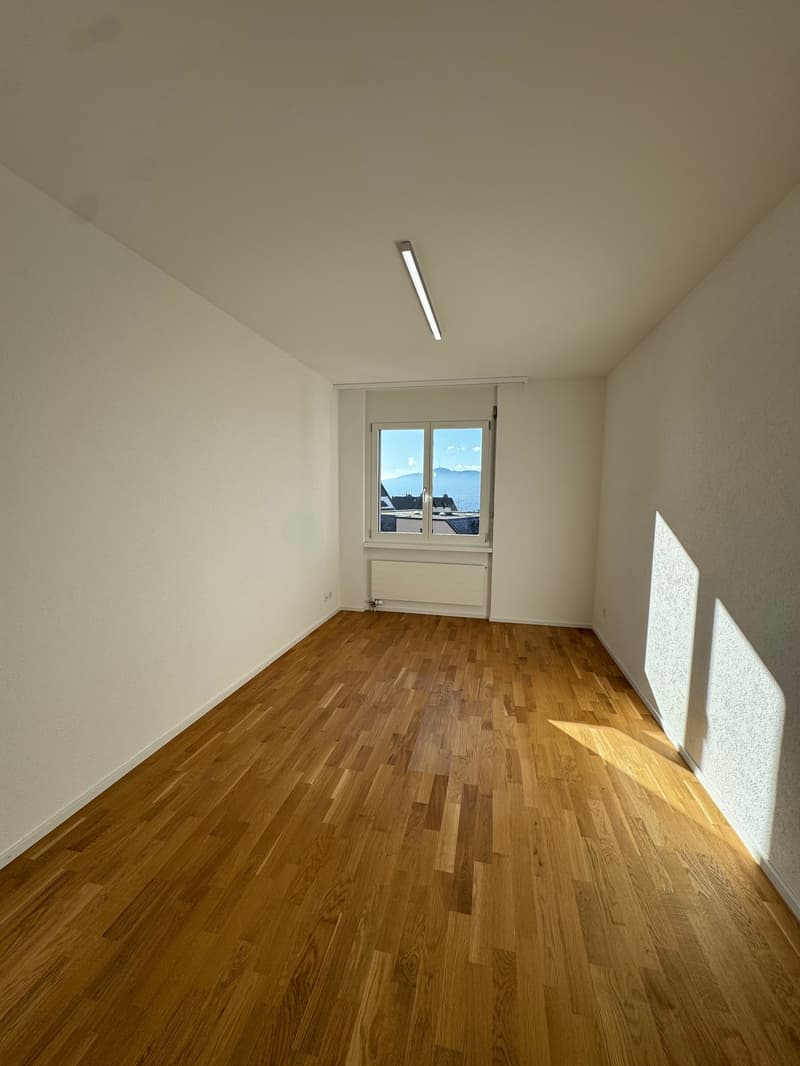 Newly renovated 4.5-room apartment in Zürich-Höngg with a far-reaching view (4)