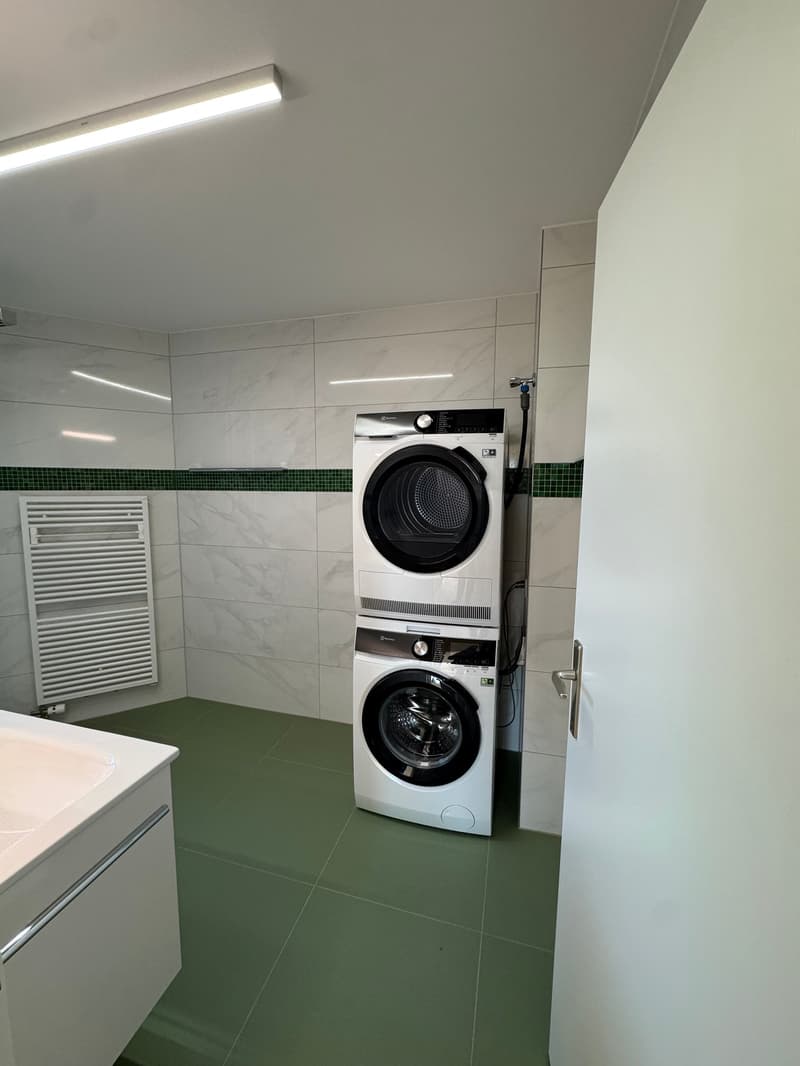 Newly renovated 4.5-room apartment in Zürich-Höngg with a far-reaching view (10)