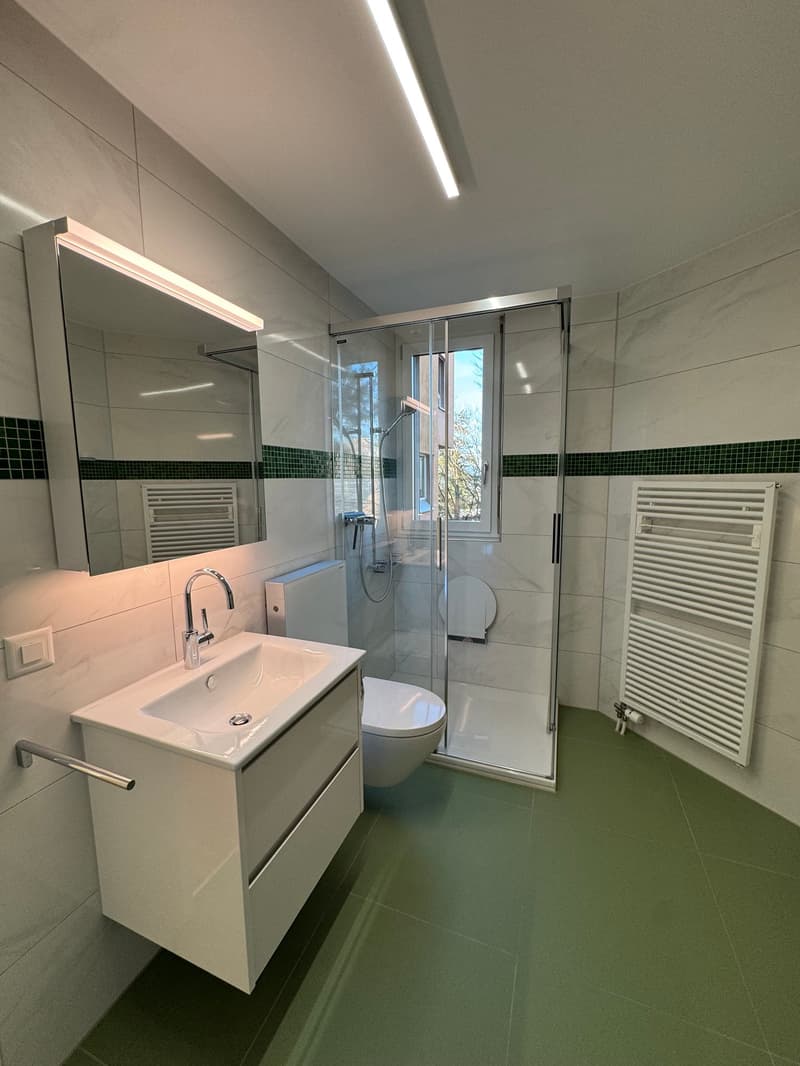 Newly renovated 4.5-room apartment in Zürich-Höngg with a far-reaching view (9)
