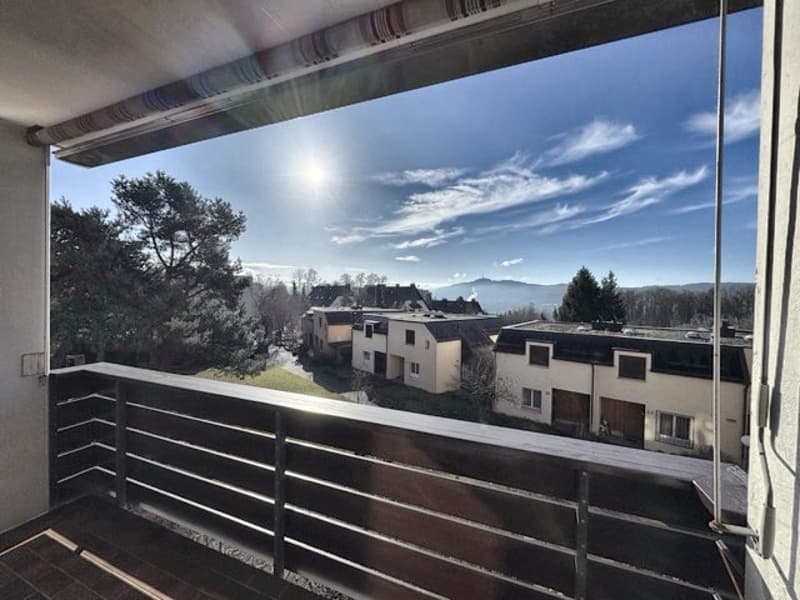 Newly renovated 4.5-room apartment in Zürich-Höngg with a far-reaching view (2)