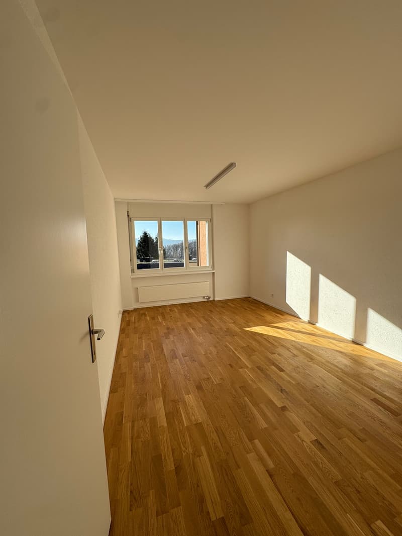 Newly renovated 4.5-room apartment in Zürich-Höngg with a far-reaching view (6)
