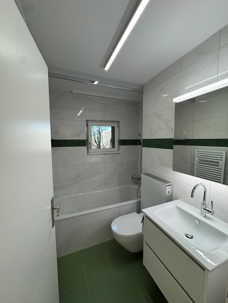 Newly renovated 4.5-room apartment in Zürich-Höngg with a far-reaching view (8)
