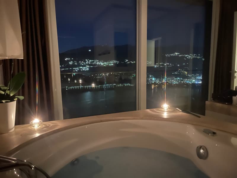 Luxurious Duplex Apartment, 180-degree lake view with Infinity Pool (6)