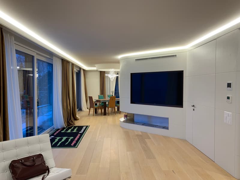 Luxurious Duplex Apartment, 180-degree lake view with Infinity Pool (11)