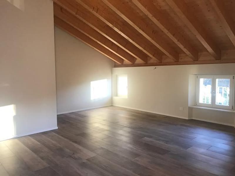 Attico con stupenda vista lago in casa di soli 3 appartamenti (3)