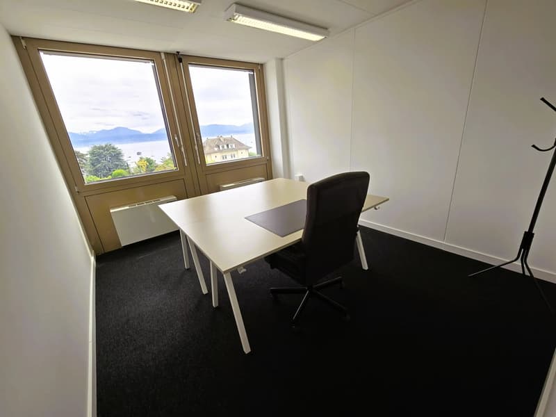 Scrivania o Ufficio Privato con Vista Lago (2)