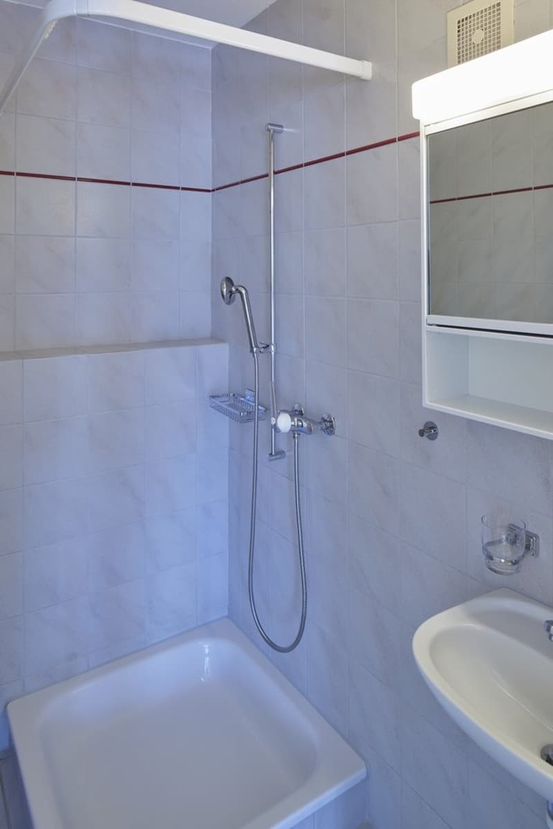 Musterfoto_Nasszelle mit Dusche