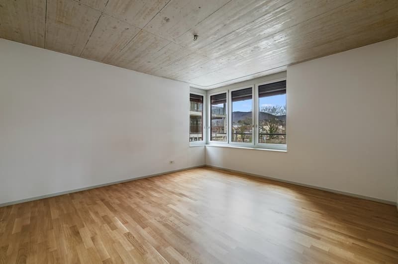 Zimmer_1