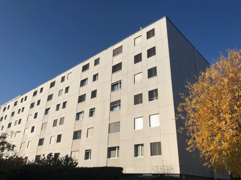 Fassade.jpg