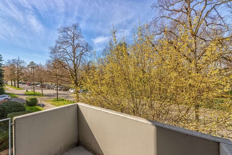 16559.01.0103-20240328-1106.d757fdd2fb2678918d8875c06a39df7d8bb0d582.png
