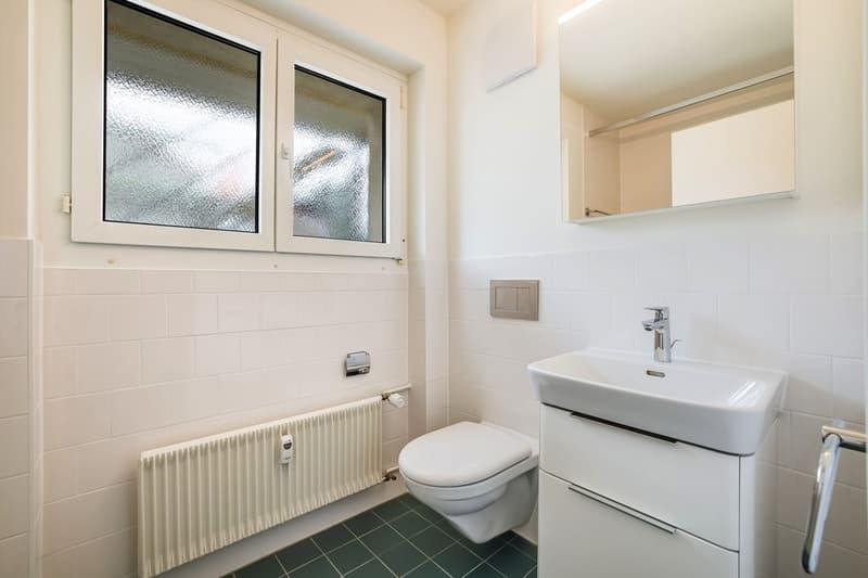 Musterfoto WC